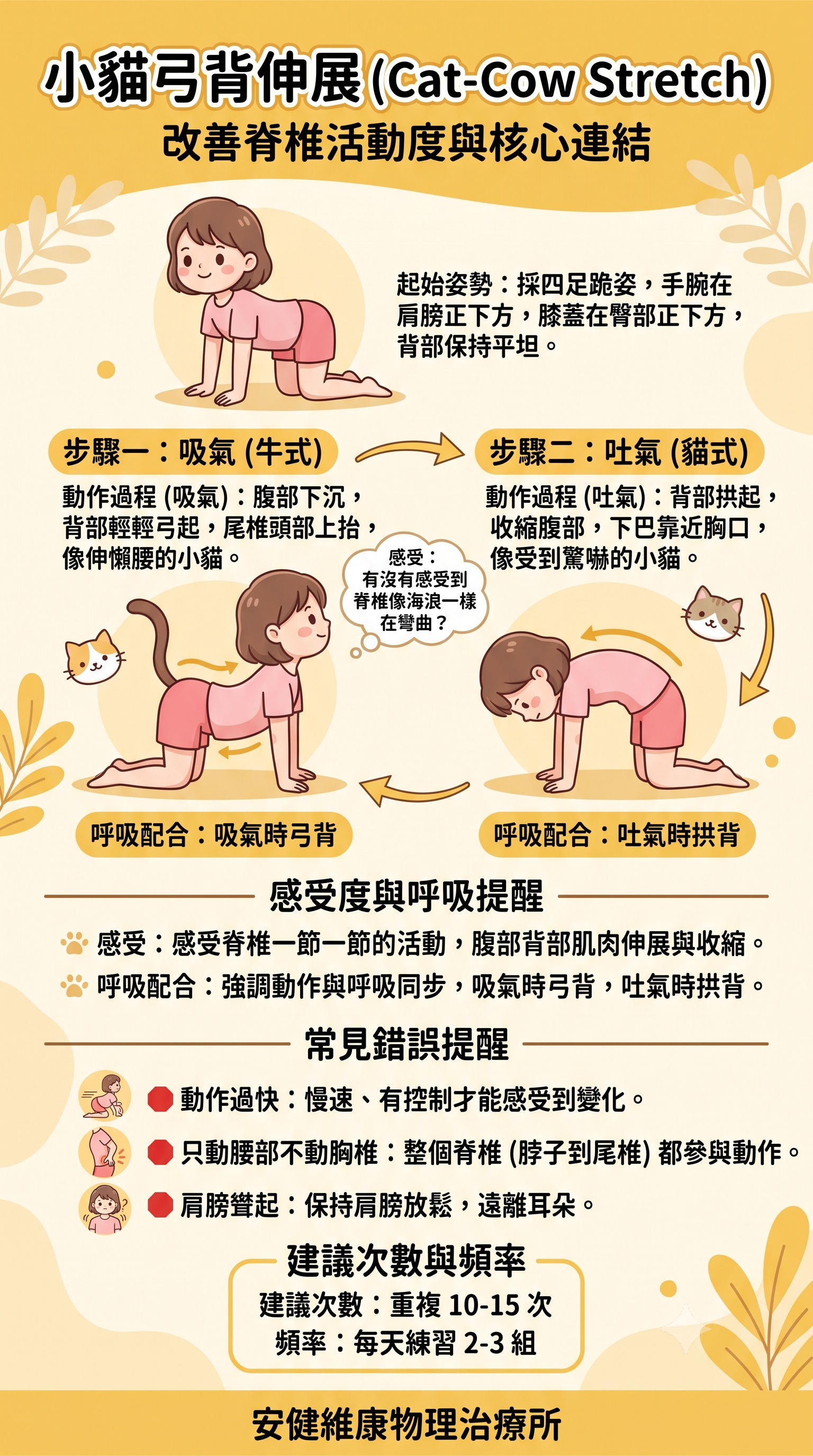 小貓弓背伸展 (Cat-Cow Stretch) - 改善脊椎活動度與核心連結.png
